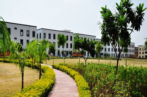 RKDF UNIV